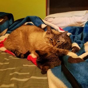 Meet your Posher, Rosalba díaz